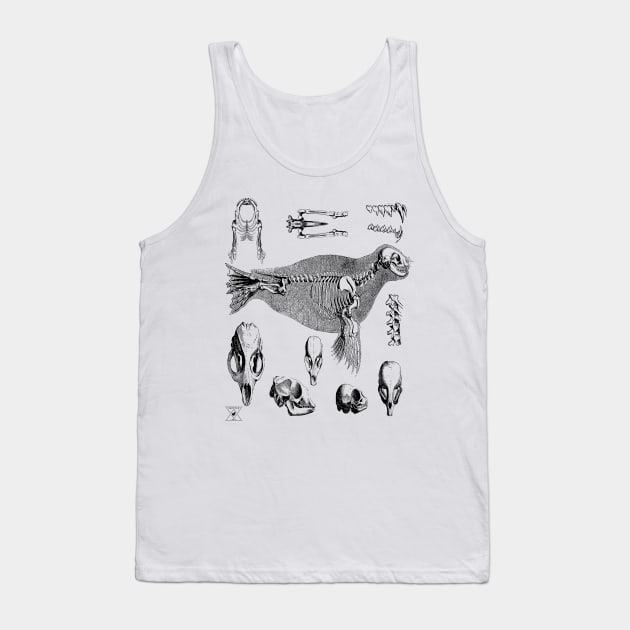 Sea Lion Seal | Ocean Animal Mammal Marine Life Tank Top by encycloart